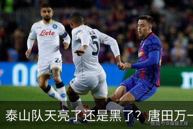 泰山队天亮了还是黑了？唐田万一赢了海港呢！陈蒲致歉，球迷并不买账